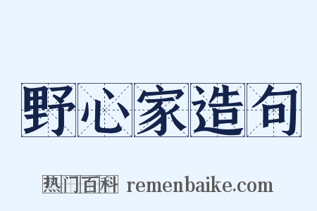 野心家造句是什么意思的图片